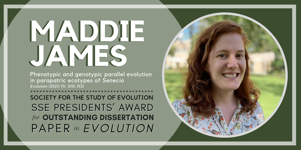 Headshot of Maddie James on a green background. Text: Maddie James. Phenotypic and genotypic parallel evolution in parapatric ecotypes of Senecio. Evolution (2021). Society for the Study of Evolution SSE Presidents' Award for Outstanding Dissertation Paper in Evolution.
